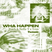 Wha Happen artwork