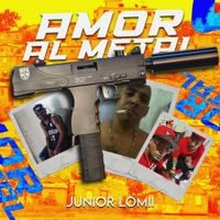 AMOR AL METAL (feat. Minayapunto5) - Single - Junior Lomi