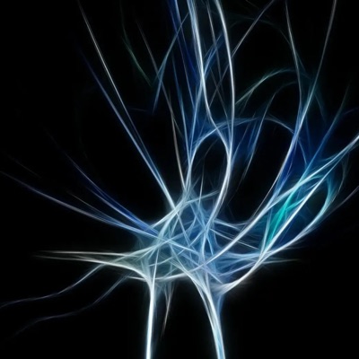 Oso fried (feat. Rokkoutb5) - Single