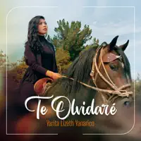 Te Olvidaré — Yarita Lizeth Yanarico