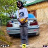 Try Again - Single - Steezy Purp