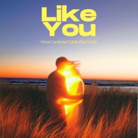 Like You (feat. Vinia) - Single - Victor Cardenas & COBAH