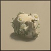 Fertilizer - Single