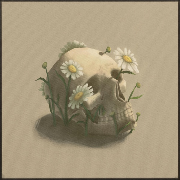 Fertilizer - Single