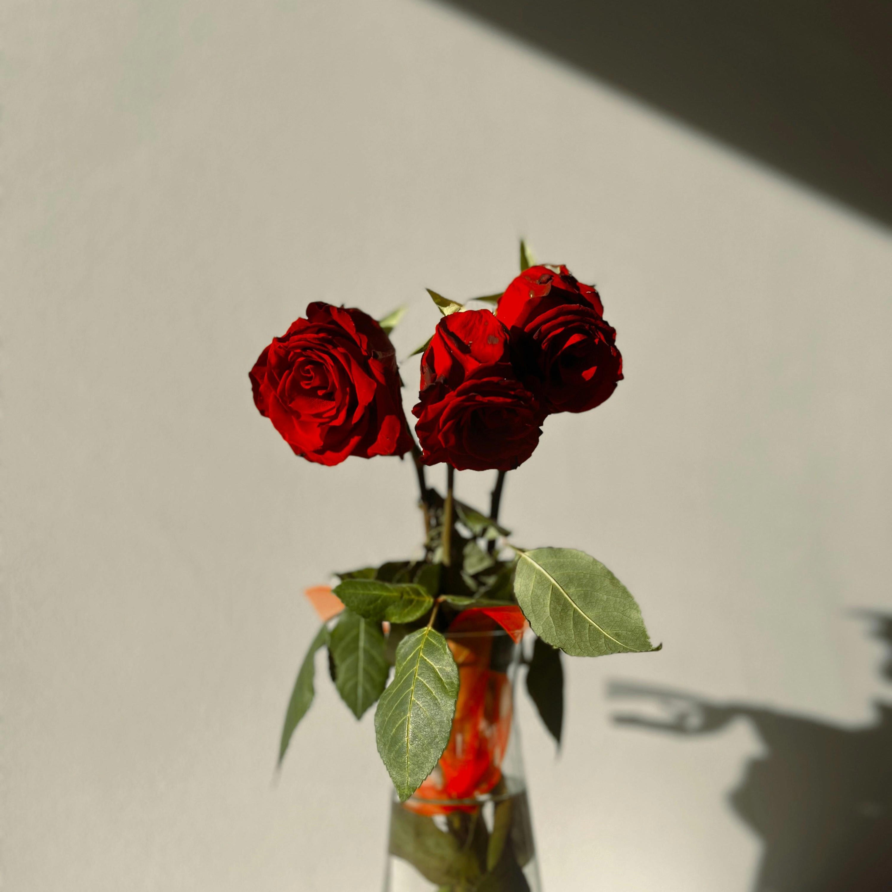 Unchained Melody - Single