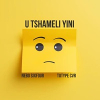 U TSHAMELI YINI (feat. Tutype cvr) - Single - Nebo Sixfour