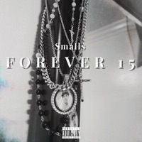 Forever 15 - Single - Joey Smalls
