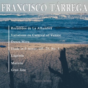Francisco Tárrega Perfomed By Hyun Woong Park