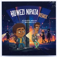 Huwezi Nipata (feat. Boywaley4) [Remix] - Single - Kushte Again