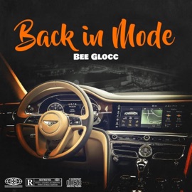 Playmaker (feat. Yardi24pl, Ybsiah3x & Dee Glock) Bee Glocc