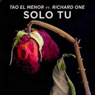 SOLO TU (feat. Richard one) - Single