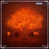 Omnia cover art