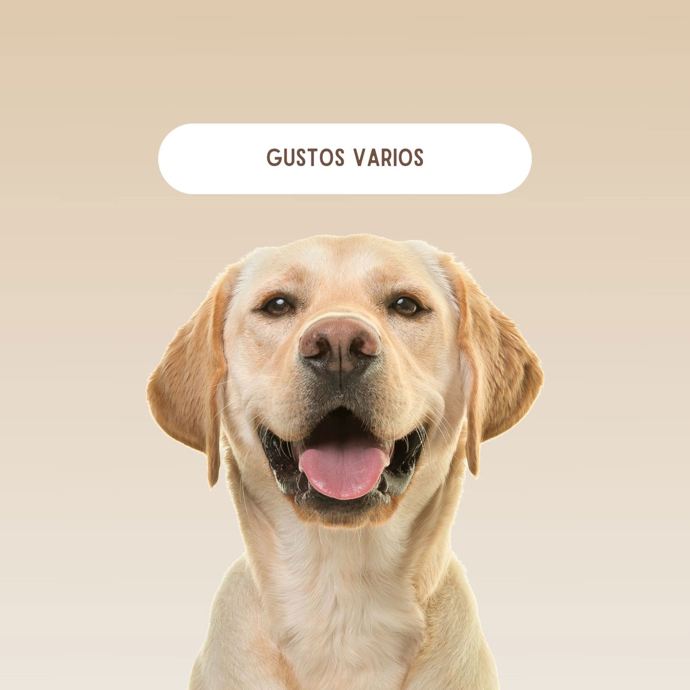 Gustos varios