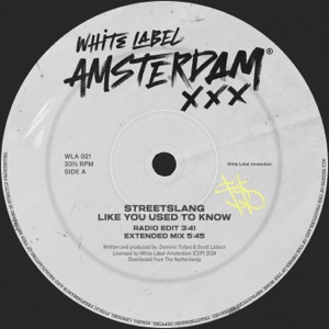 Like You Used to Know - Single
