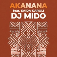 Akanana (feat. Saida Karoli) - Single - Dj Mido