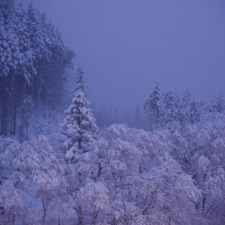Ministry of Interior Spaces - Snow Country (feat. Declan Haughian)