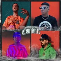 Cuando No Era Cantante (feat. THE M, Negro Gonzza & MalevoIDHR) - Single - M.maldi