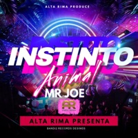 Instinto Animal (feat. Mr.Joe) - Single - Alta Rima