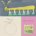 cootie catcher