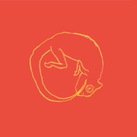 Camaleão Dourado - Single - Tegê