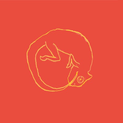 Camaleão Dourado - Single