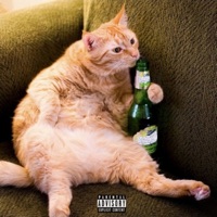 Кот - Single - sekkkond