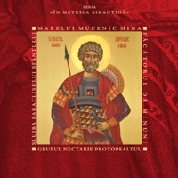 Megalinariile