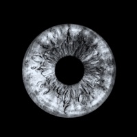 Pulsante - Single - Pao Calderon