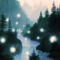 Retire in liminal woods - Single - Jazzy avi