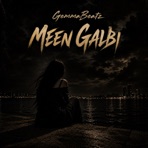 Meen Galbi - Single