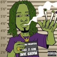 Marry Jane - Single - Darn It Gifted