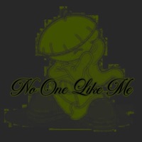 No One LIke Me - flowerwebs