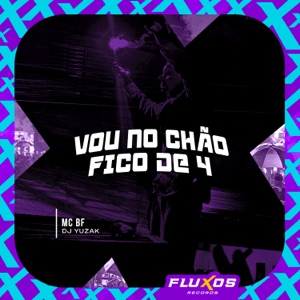 Vou no Chão Fico de 4