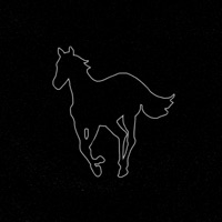 Pink Maggit - Single - Soft Static