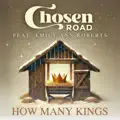 Chosen Road (feat. Emily Ann Roberts)