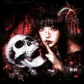 CHASE THE LIGHT Xalras