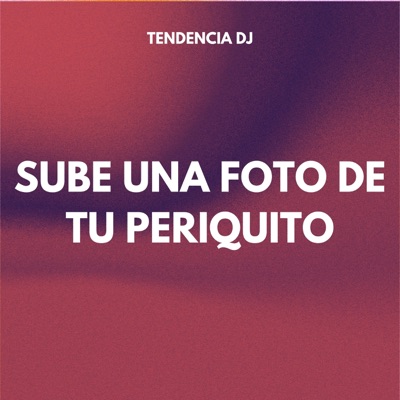 tendencia DJ - SUBE UNA FOTO DE TU PERIQUITO
