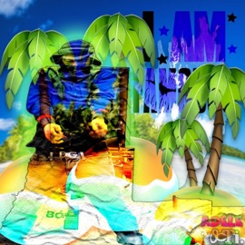Island Like Octi