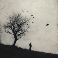 grey silence - Single - PANDA!, .dxve & ytz