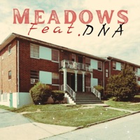 Meadows (feat. DNA) - Single - Anthony Hayes
