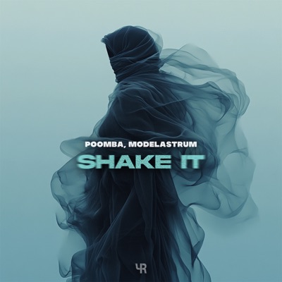 Shake It - Single