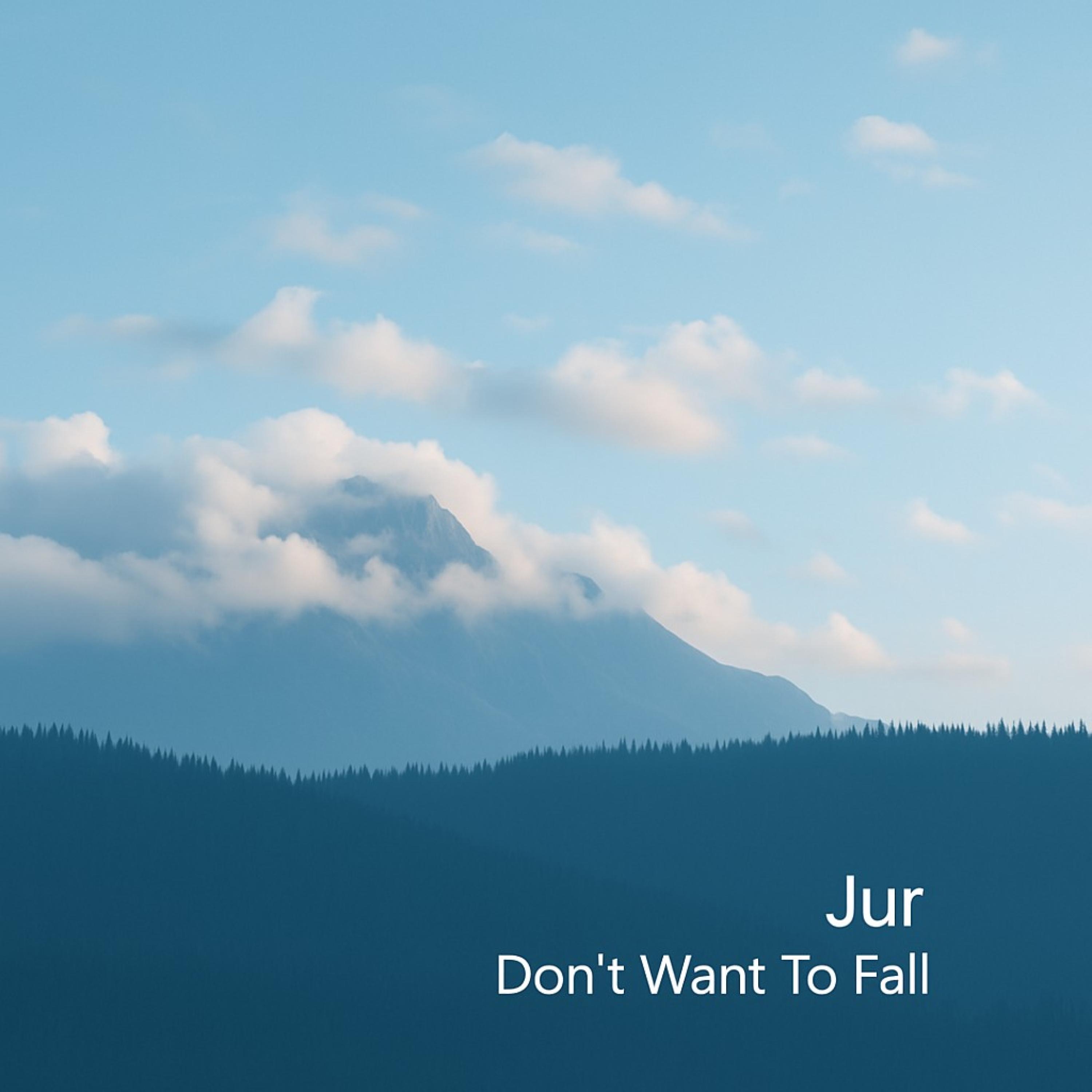 Don't Want To Fall - Single