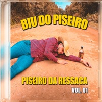 Piseiro Da Ressaca Vol. 01 - Biu do Piseiro