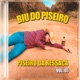 Piseiro Da Ressaca Vol 01