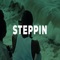Steppin - GeniusVybz lyrics