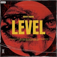 Level - Single - Arash Chahal