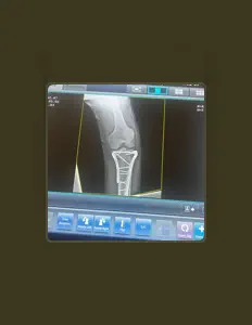 Listen to DYisDEAD, watch music videos, read bio, see tour dates & more!