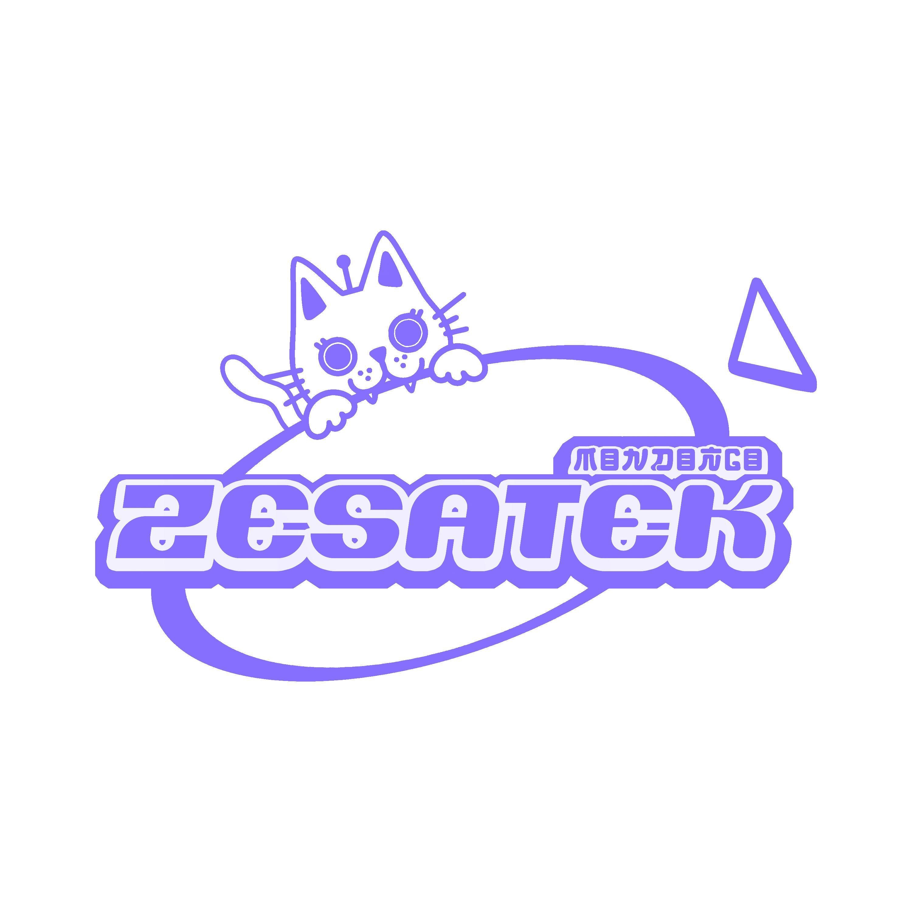 ZESATEK - Single