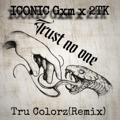 Tru Colorz (feat. 2TK) [Remix] - Single