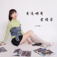 黄连哪有爱情苦 - Single - 许丽静